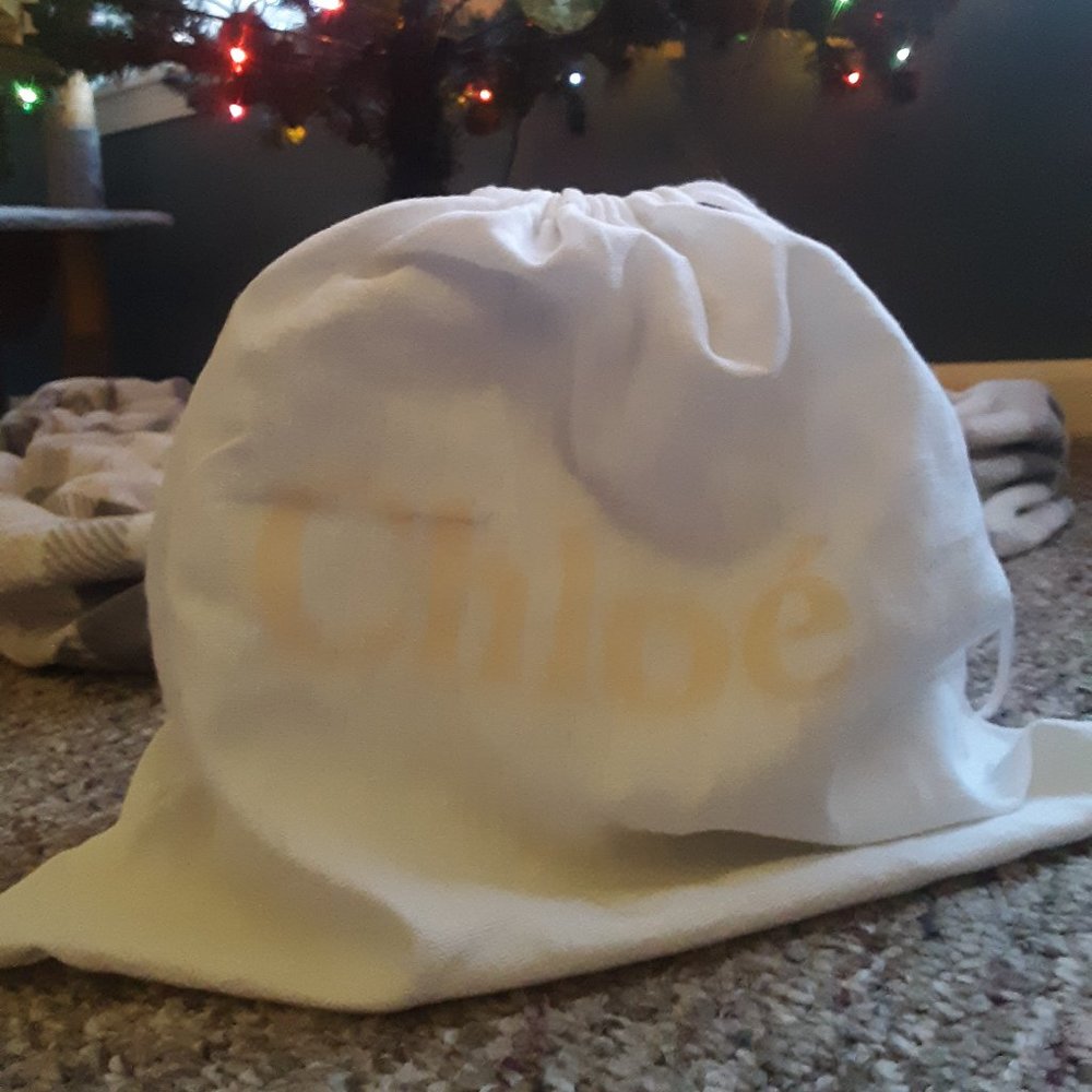 Chloe Drew Crossbody Bag